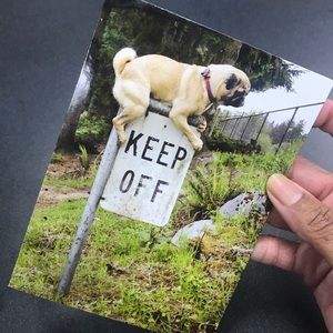 Feel good cards limited quantities